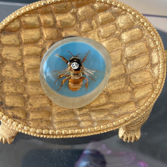 Lucite Insect Adjustable Ring - Picture 4 of 6